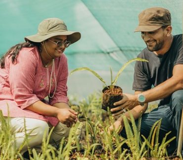 Régénérer les microforêts endémiques de Moka