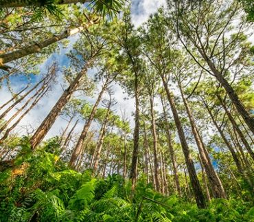 Empreinte biodiversité : ce que Carbone 4 révèle sur ER Group