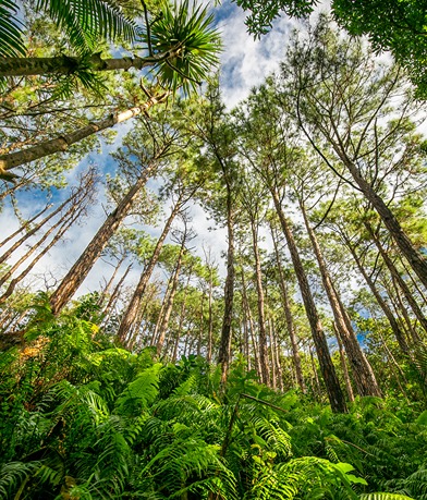 Empreinte biodiversité : ce que Carbone 4 révèle sur ER Group